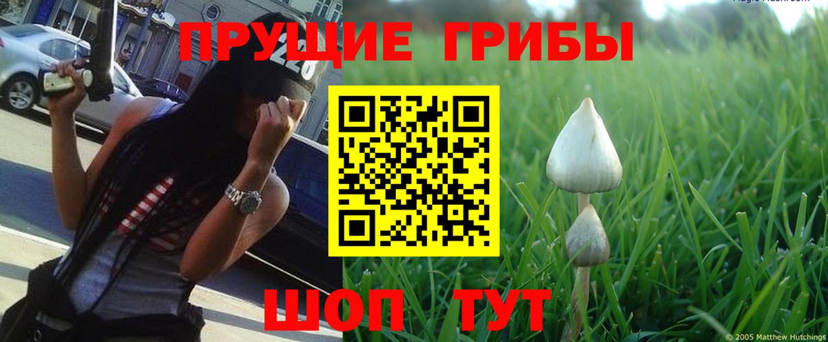 Протвино  Псилоцибиновые грибы ЛСД  сколько стоит  Вход с VPN 